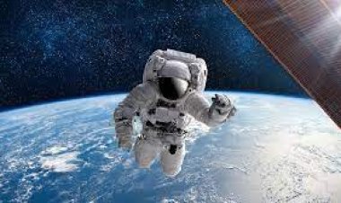 لأول مرة.. علماء يطورون أجنة فئران في الفضاء