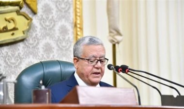 البرلمان يوافق على إنشاء إدارة عامة لنجدة الطفل