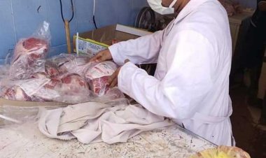 1300 كيلو لحوم وأسماك مجهولة المصدر في حملة بيطرية بالمنوفية