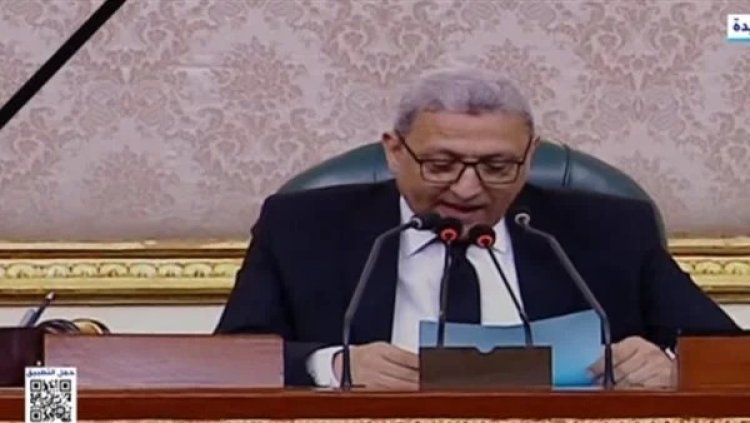 «تحيا إسرائيل» تربك برلماني داخل المجلس.. وتعليمات صارمة بحذفها  (تفاصيل)