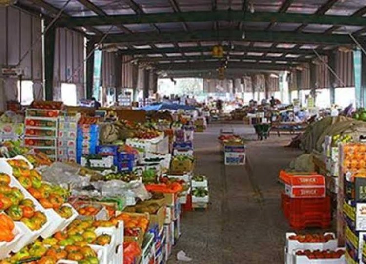 خبير اقتصادي: الدولة المصرية تستهدف إنشاء أسواق جملة مركزية