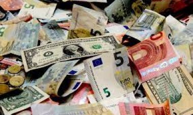 بعد قرار البنك المركزي.. أسعار العملات الأجنبية اليوم الجمعة 3-11-2023