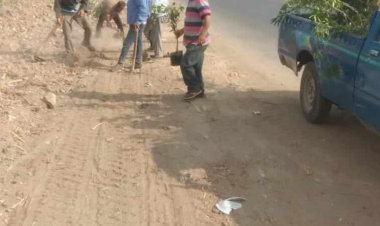 ضمن مبادرة «100 مليون شجرة» زراعة 105 شتلة مثمرة في مركز مطاي بالمنيا