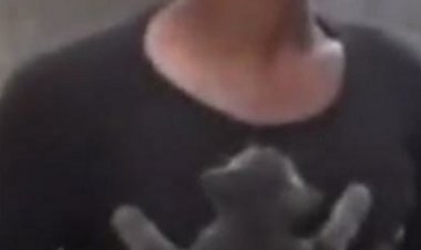 قطة تثير تعاطف رواد مواقع التواصل الاجتماعي (ايه الحكاية)