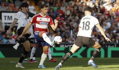 الدوري الإسباني | فالنسيا يفلت من فخ غرناطة.. وألافيس يضاعف محنة ألميريا