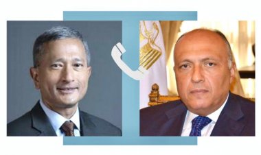 «شكري» يطلع وزيرى خارجية سنغافورة ورومانيا على الوضع المأساوى فى غزة