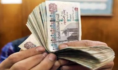 %5.9 زيادة في قيمة الأجور للعاملين في القطاع العام 2021/2022