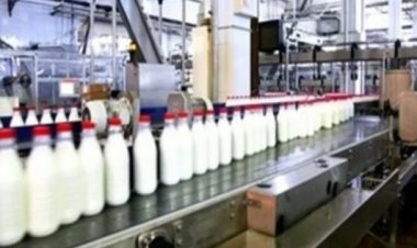 الزراعة: يوجد اكتفاء ذاتي من الألبان بنسبة 100%