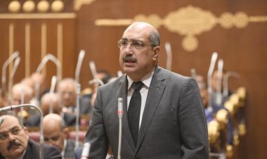 النائب إيهاب وهبة: من حق مصر وضع شروطها لفتح معبر «رفح» أمام الأجانب