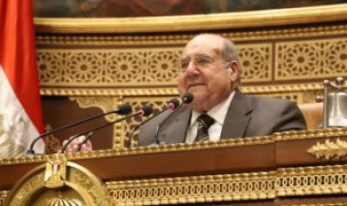 مجلس الشيوخ يوافق نهائيًا على تقرير دراسة مصادر الطاقة وسوق الكربون