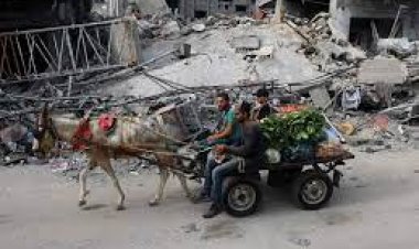 على طريقة «كراكون في الشارع».. عربات الكارو أسلوب حياة في غزة