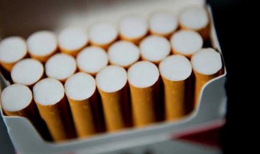 زيادة أسعار سجائر كليوباترا  والبوكس ومونديال وفايسروي