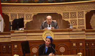 وزيرة البيئة تستعرض لمجلس الشيوخ جهود الحد من الانبعاثات لدفع التنمية الاقتصادية للدولة 