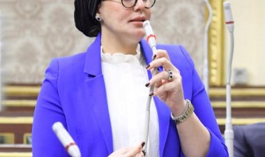 برلمانية: مباحثات الرئيس السيسي ونظيره الجنوب سوداني تأكيد على عمق العلاقات التاريخية بين البلدين