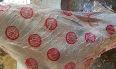 سرقة أختام اللحوم من مجزر بالمنوفية وجهود مكثفة لضبط الجناة