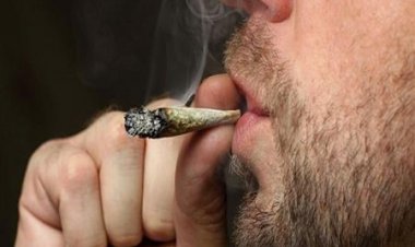 ضبط 430 طربة حشيش فى الإسكندرية والسويس بقيمة 3.8 مليون جنيه