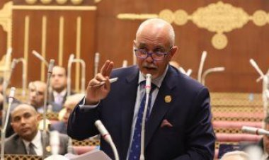 برلماني يقدم اقتراح للشيوخ لحل مشكلة المعاش المبكر للمتضررين من قانون التأمينات