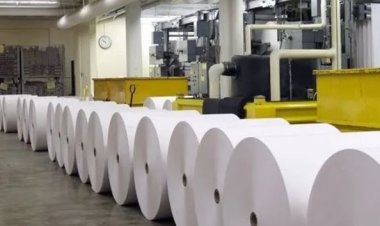 7 مليون جنيه ارتفاعا في خسائر شركة راكتا خلال 3 أشهر