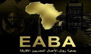 رجال الأعمال المصريين الأفارقة تنظم سلسلة لقاءات ثنائية مع وفود دول القارة