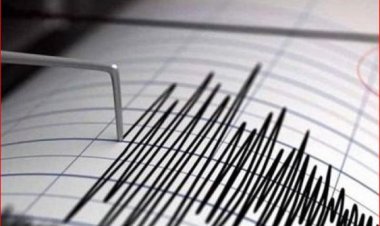 زلزال يضرب سواحل المكسيك على المحيط الهادئ