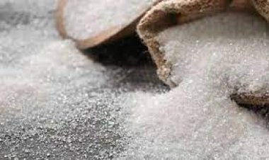 سعر كيلو السكر في مصر اليوم