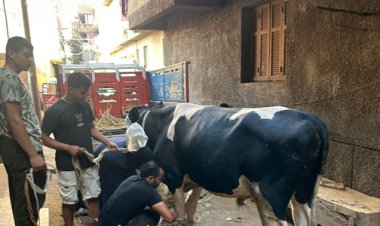 أسرة تُقى «عروس بنها» تضحي احتفالًا بتنفيذ إعدام القاتل.. صور