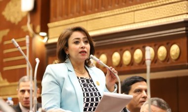 النائبة «رشا إسحق» عضواً بلجنة تنمية الثقافة العملية والتفكير الابتكاري بـ«الأعلى للثقافة»