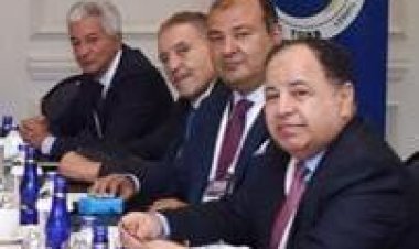 خالد حنفي: مصر بوابة محورية  لتطوير العلاقات الاقتصادية العربية – التركية