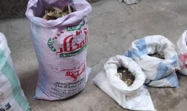 تصدقوا بتكفينه ودفنه وعثروا على 7 شكائر أموال معه.. لغز كنز عم حمدي المتسول في المنصورة