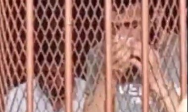 "ماسك منديل وبيبكي".. أول ظهور لـ قاتل شقيقته في بورسعيد