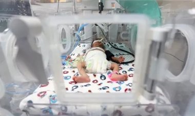 الصحة الفلسطينية: استشهاد 39 رضيعًا بأقسام العناية المركزة لعدم وجود أكسجين