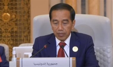 رئيس إندونيسيا: ما تقوم به إسرائيل هو قتل جماعي