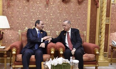 الرئيسان السيسى وأردوغان يتوافقان بشأن الوقف الفورى للعمليات العسكرية فى غزة