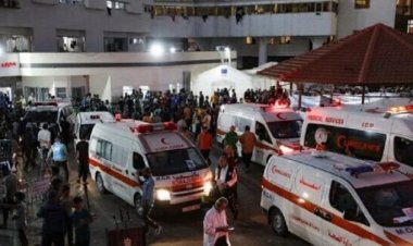 عاجل| أطباء بلا حدود: تمكنا من إدخال معدات طبية لغزة لإجراء عمليات جراحية