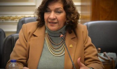 تحرك «برلماني» لإنقاذ يتيمات مؤسسات الرعاية وأسرهن من «التشريد».. اعرف التفاصيل 