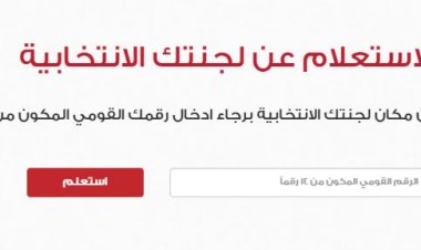 تعرف على طريقة عملية التصويت للمصريين في الخارج بالانتخابات الرئاسية 2024