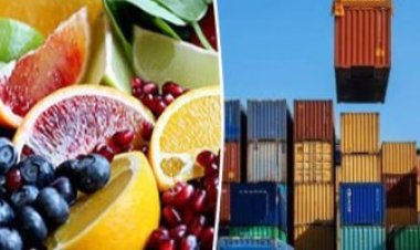 التعبئة والإحصاء: %7.3 زيادة فى صادرات مصر إلى دول حوض النيل عام 2022