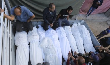 وزيرة الصحة الفلسطينية: كلاب ضالة نهشت الجثث في ساحة مجمع الشفاء