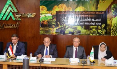 عقده عبر منصة "زووم".. تفاصيل اجتماع اتحاد المهندسين العرب الثاني لدعم فلسطين