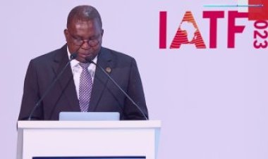 «الاتحاد الأفريقي» يثمن المجهودات المصرية لإقامة معرض التجارة البينية