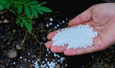 5 مليارات جنيه.. ارتفاع صادرات مصر من الفوسفات خلال 5 سنوات