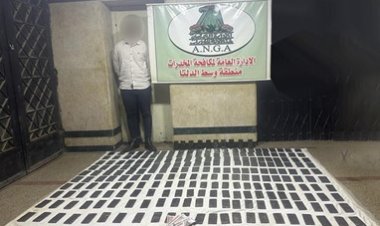 سقوط عنصر اجرامى بحوزته 240 طربة حشيش فى المنوفية بـ1.7 مليون جنيه