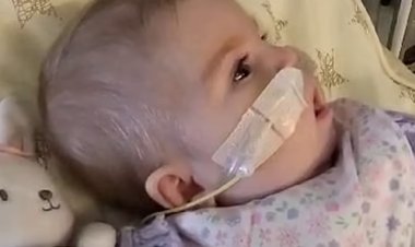 اختلف فقهاء القانون بشأنها.. طفلة  تُثير جدلاً كبيراً في إيطاليا