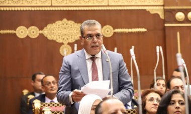 «برلماني»: مصر تبذل جهداً كبيراً لإيجاد حل عادل وشامل للقضية الفلسطينية