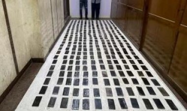 احباط ترويج 300 طربة حشيش فى الإسكندرية بأكثر من 2 مليون جنيه