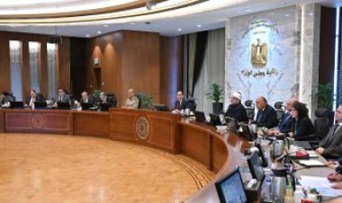 الحكومة: تم توقيع عدد من الاتفاقيات التجارية بين مصر ودول أفريقية