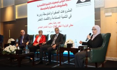 التنمية الصناعية: تقديم عدد من الخدمات عبر البوابة الإلكترونية قريبا