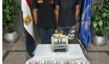 القبض على 8 لصوص بينهم أجنبي بالقاهرة 