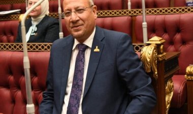 النائب عمرو عكاشة: مصر تتعامل برشد وحكمة لإنهاء التوتر ووقف إطلاق النار بـ«غزة»