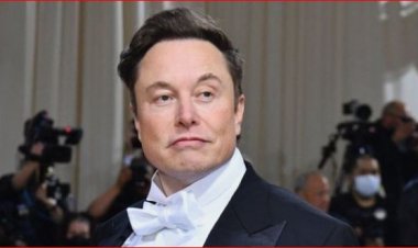 بـ60 دولار في الساعة.. إيلون ماسك يبحث عن مدرسين للذكاء الاصطناعي بشرط إجادة اللغة الإنجليزية